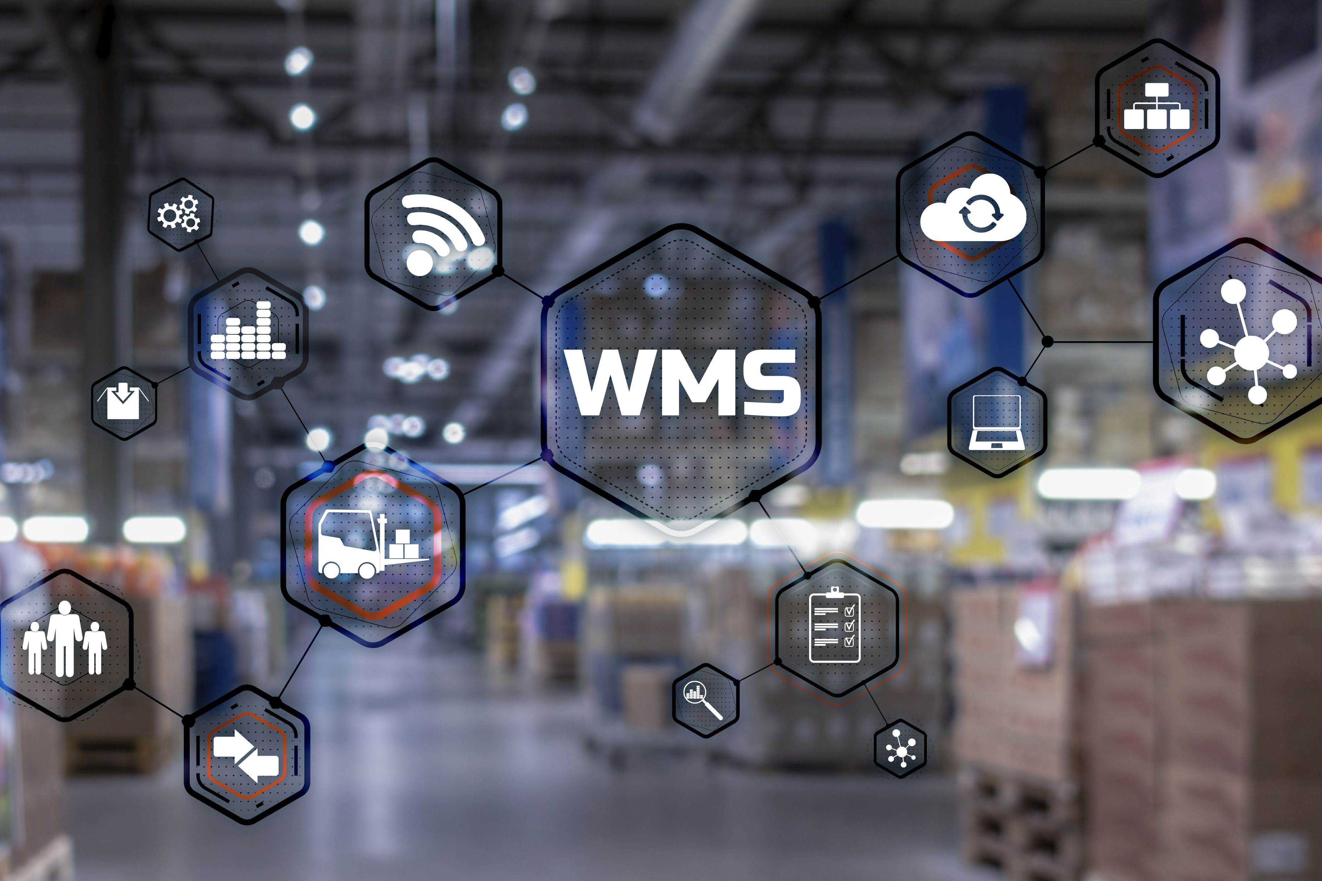 Wm k. WMS управление складской логистикой фудшеринг