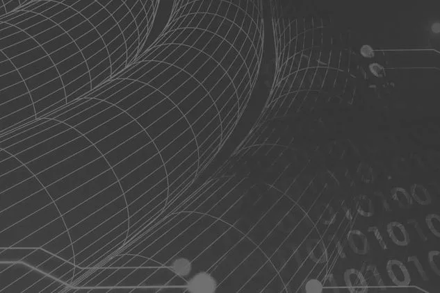 Digital Delivery: Fraud Trends and Factors That Put Merchants at High Risk